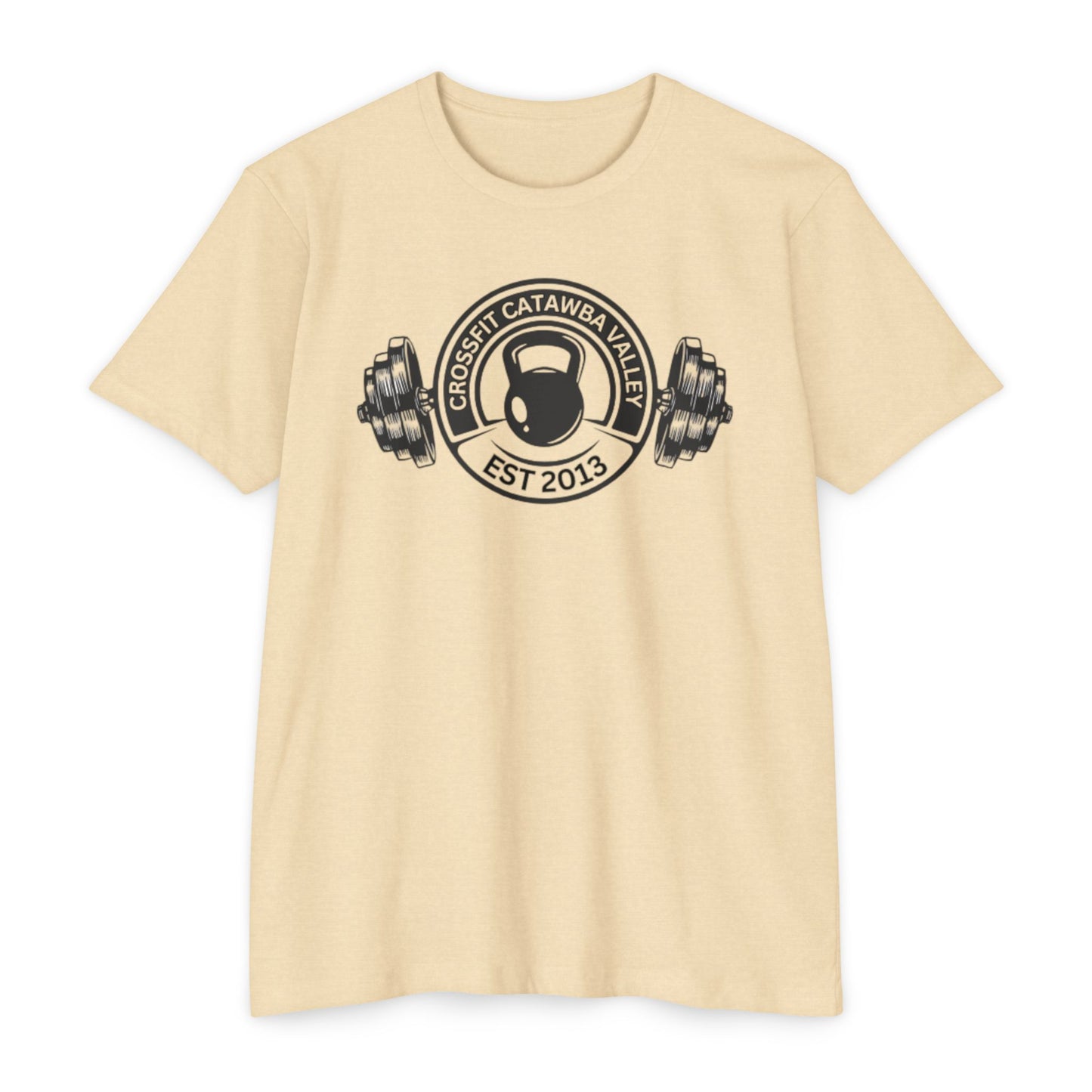 Unisex CVC Jersey T-shirt
